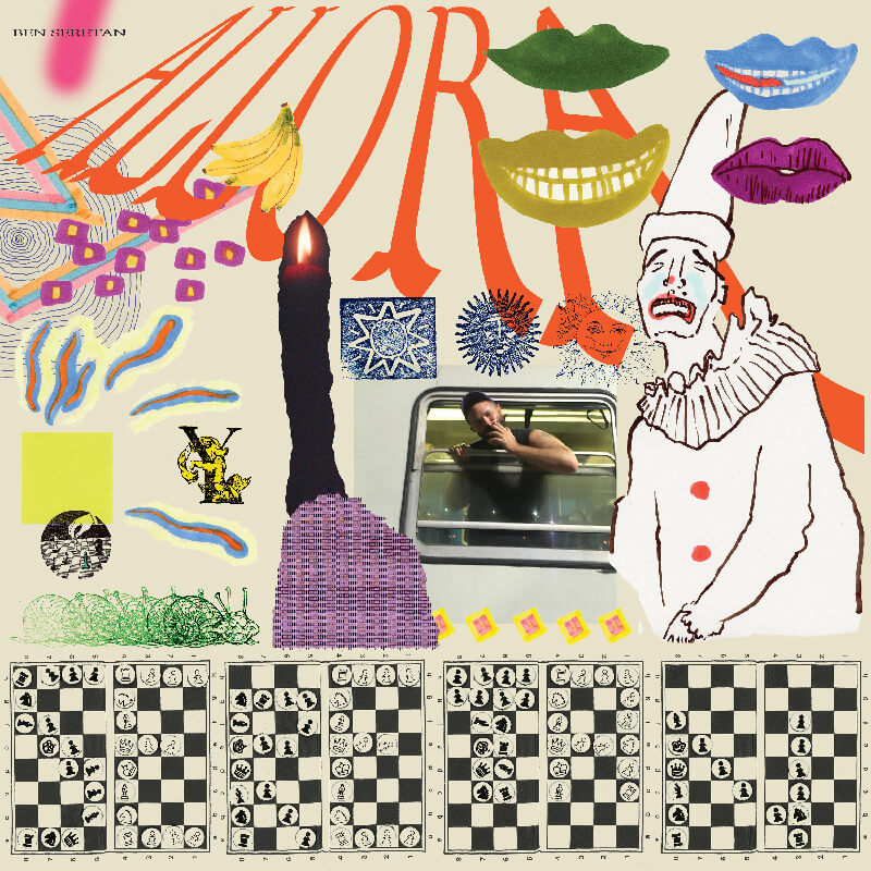 An album cover featuring a nutty collage and text reading Allora